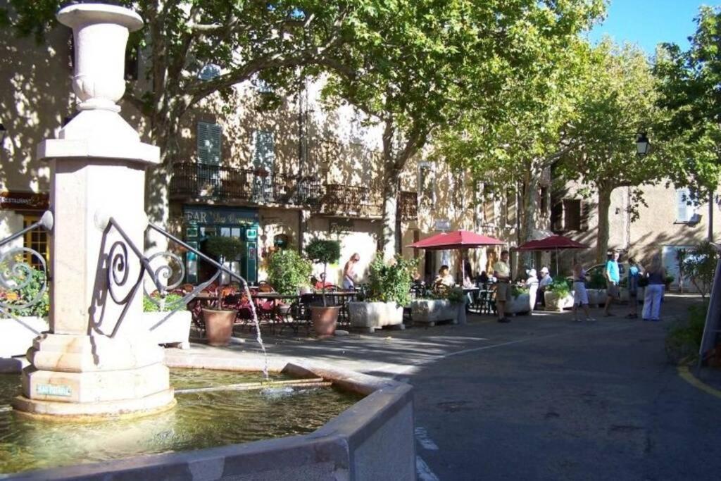 Gite Provencal Independant Avec Piscine Chauffee : Le Suy Bien Flayosc Εξωτερικό φωτογραφία