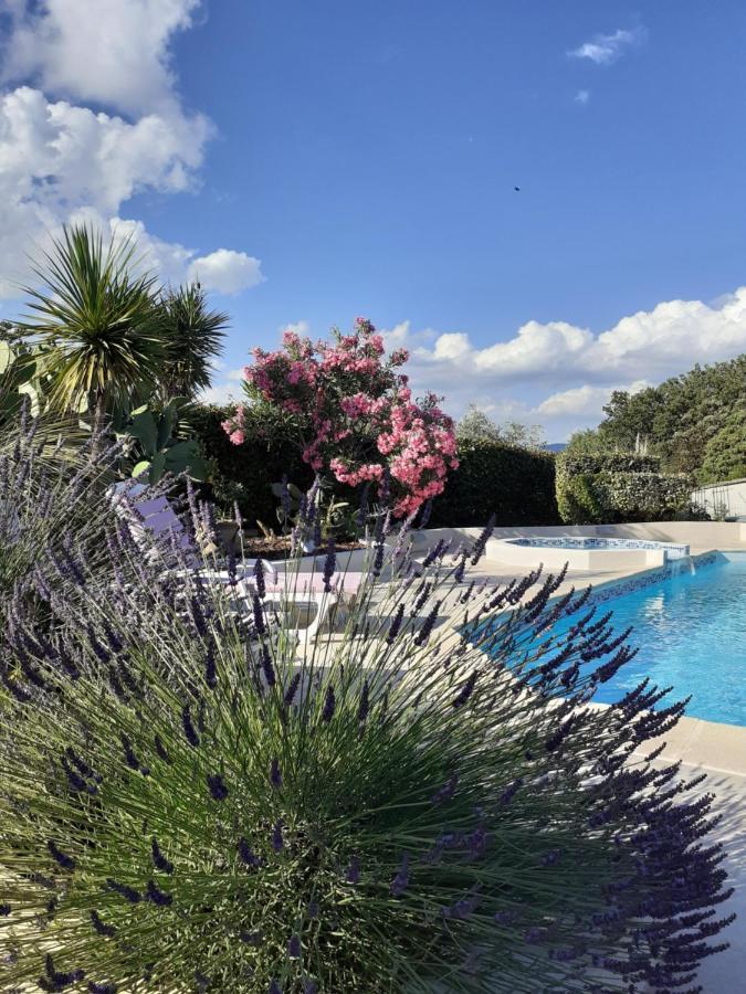 Gite Provencal Independant Avec Piscine Chauffee : Le Suy Bien Flayosc Εξωτερικό φωτογραφία