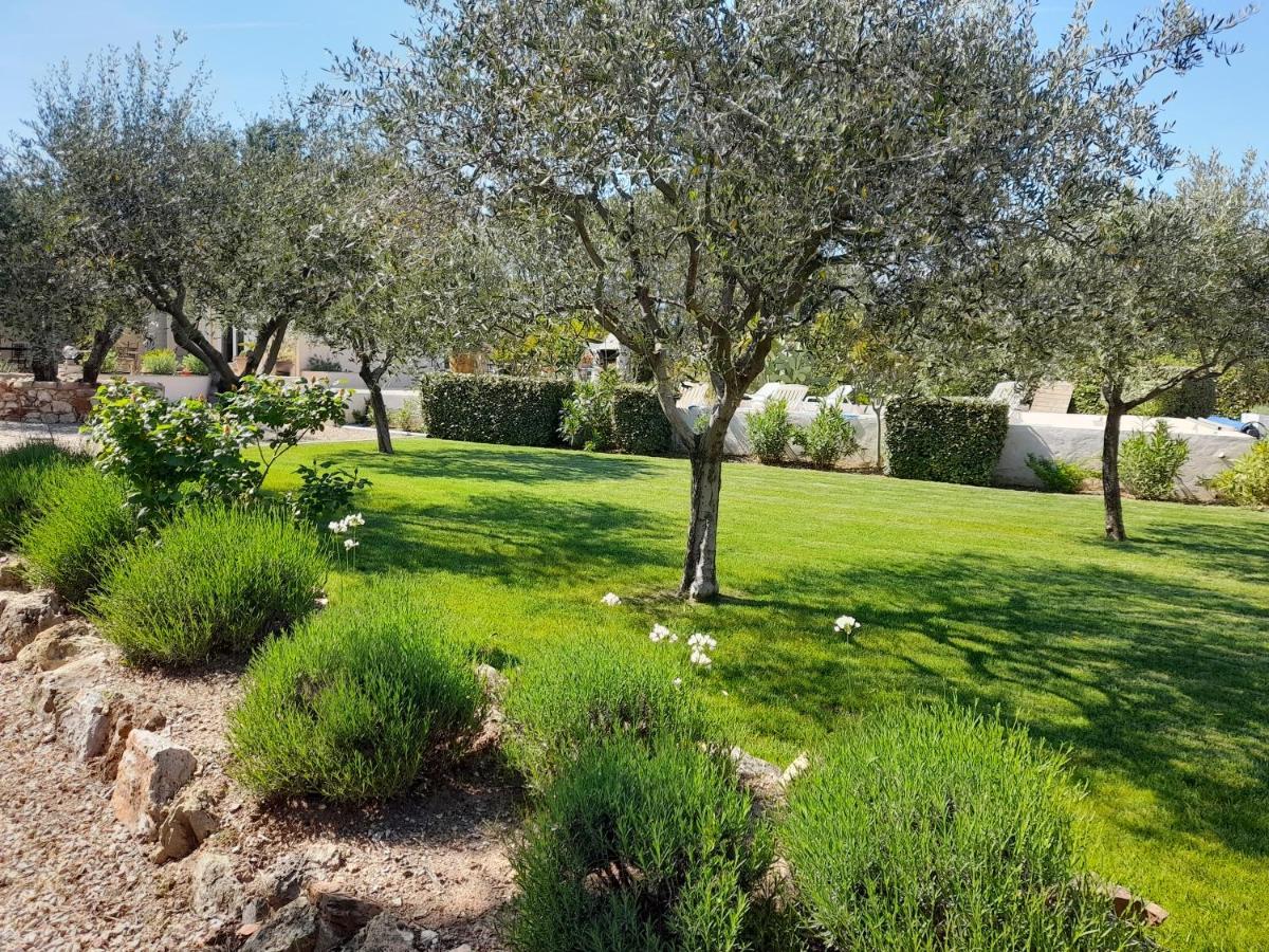 Gite Provencal Independant Avec Piscine Chauffee : Le Suy Bien Flayosc Εξωτερικό φωτογραφία