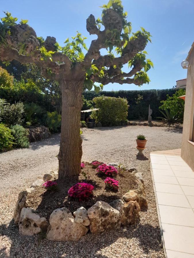 Gite Provencal Independant Avec Piscine Chauffee : Le Suy Bien Flayosc Εξωτερικό φωτογραφία